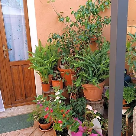 Guest house Beranu
