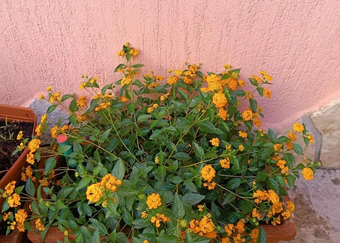 Beranu ベッド・アンド・ブレックファスト