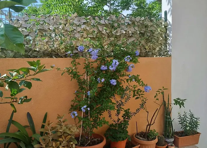 Bed and breakfast Beranu Villasimius